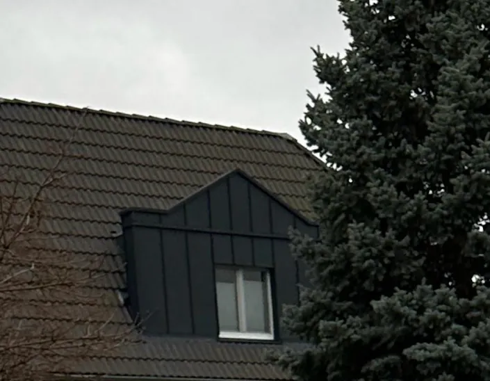 Gründach Sanierung