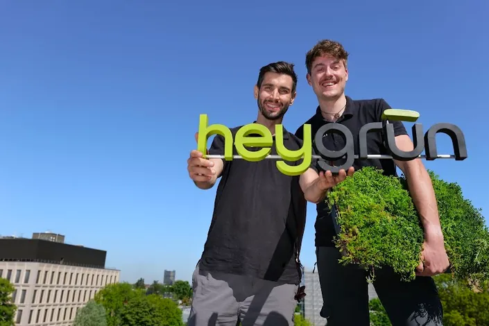 heygrün